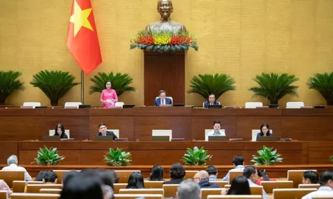 Đề xuất tăng mạnh mức phạt quảng cáo sai sự thật, siết chặt trách nhiệm người nổi tiếng