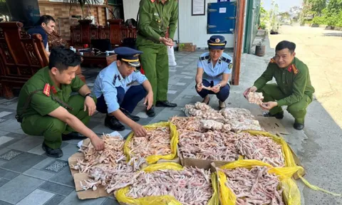 Phát hiện gần nửa tấn chân gà, đuôi lợn không rõ nguồn gốc xuất xứ tại Nghệ An