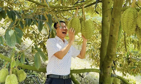 Sầu Riêng Pa Hưng: Tiên phong nông nghiệp bền vững, chinh phục thị trường quốc tế