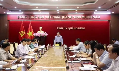 Quảng Ninh: Công tác chuẩn bị và tổ chức Lễ hội Hokkaido tại Hạ Long năm 2023