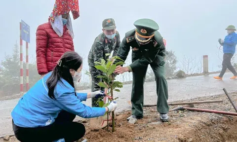Quảng Ninh: Mùa Xuân - là Tết trồng cây