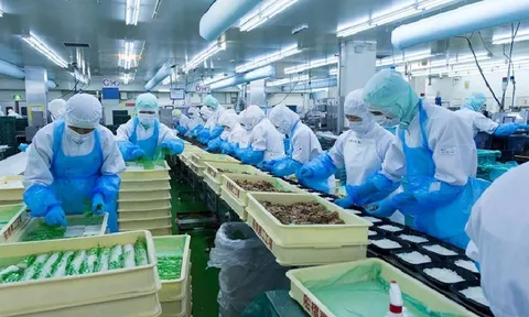 Tăng cường kiểm tra, giám sát vùng nguyên liệu, các cơ sở sơ chế, chế biến thực phẩm xuất khẩu