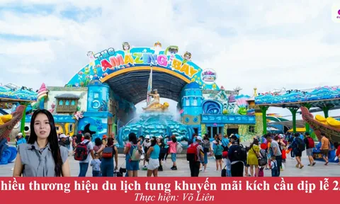Sáng lập nền tảng sáng tạo video với phiên bản ảo - Dizim.ai