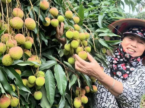 Sản phẩm nào có vùng nguyên liệu ổn định là lợi thế để phát triển bền vững, giá trị cao.