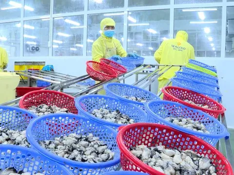 Đầm Hà - Quảng Ninh: Áp dụng kỹ thuật công nghệ cao trong sản xuất, phát triển nông nghiệp