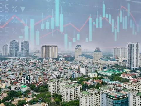 Doanh nghiệp bất động sản nhận "trái đắng" vì tiền đầu tư chứng khoán "bốc hơi"