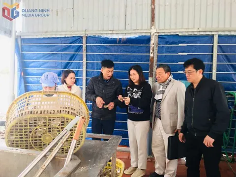 Quảng Ninh: Nâng cao nhận thức người dân về pháp luật an toàn thực phẩm