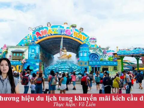 Sáng lập nền tảng sáng tạo video với phiên bản ảo - Dizim.ai