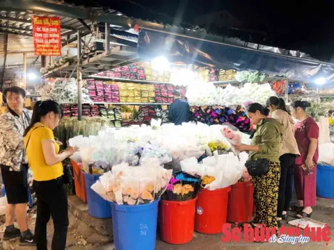 Chợ hoa Quảng Bá: Khám phá vẻ đẹp của Hà Nội về đêm